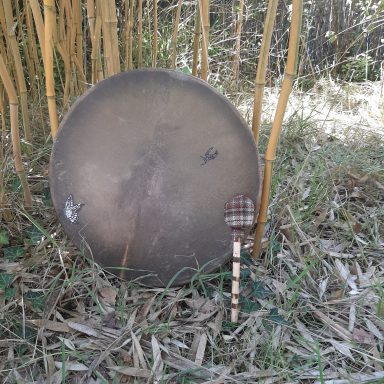 Peau de cerf avec dessin modest